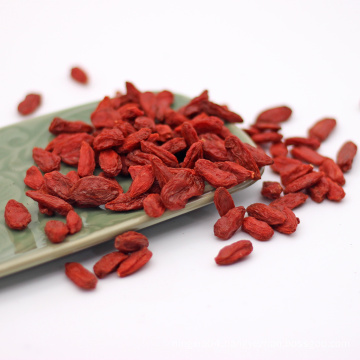 Best Quality Fresh Organic Goji Berry Red Medlar with best price